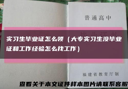 实习生毕业证怎么领（大专实习生没毕业证和工作经验怎么找工作）缩略图