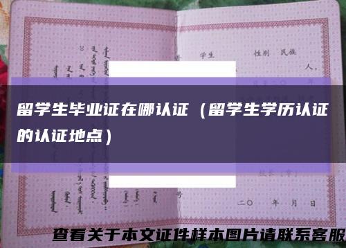 留学生毕业证在哪认证（留学生学历认证的认证地点）缩略图