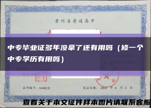 中专毕业证多年没拿了还有用吗（修一个中专学历有用吗）缩略图