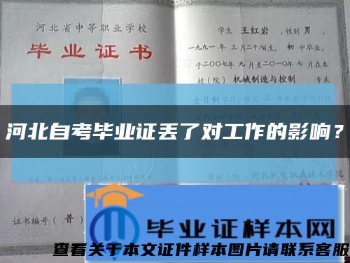 河北自考毕业证丢了对工作的影响？缩略图