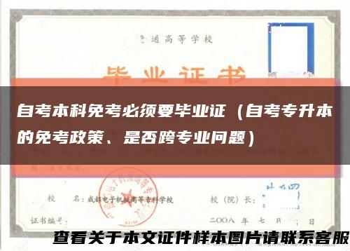 自考本科免考必须要毕业证（自考专升本的免考政策、是否跨专业问题）缩略图