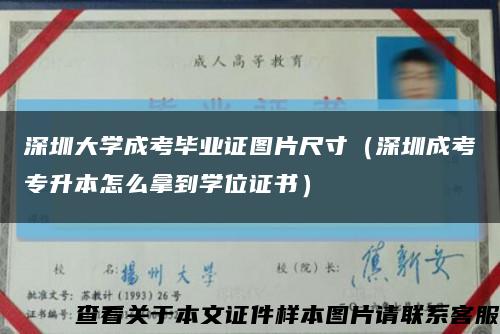 深圳大学成考毕业证图片尺寸（深圳成考专升本怎么拿到学位证书）缩略图