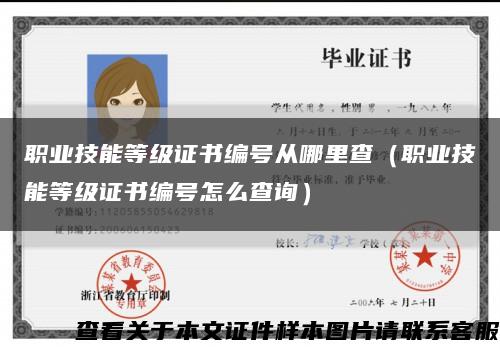 职业技能等级证书编号从哪里查（职业技能等级证书编号怎么查询）缩略图