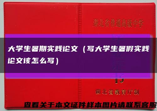 大学生暑期实践论文（写大学生暑假实践论文该怎么写）缩略图