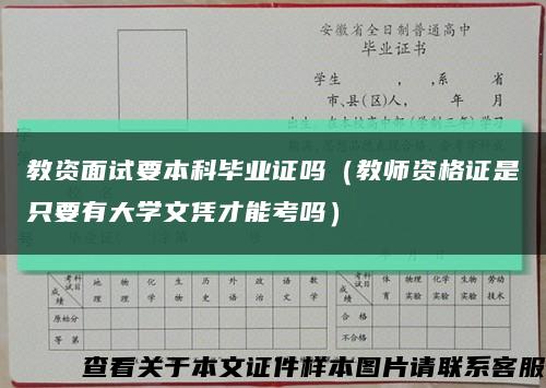 教资面试要本科毕业证吗（教师资格证是只要有大学文凭才能考吗）缩略图