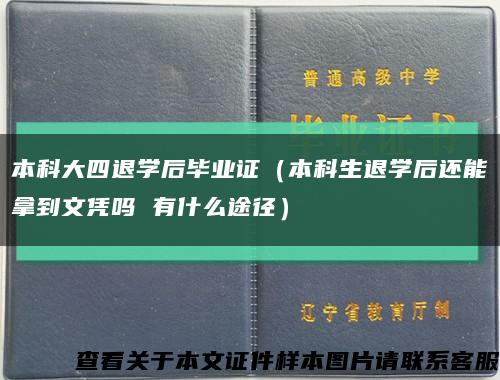 本科大四退学后毕业证（本科生退学后还能拿到文凭吗 有什么途径）缩略图