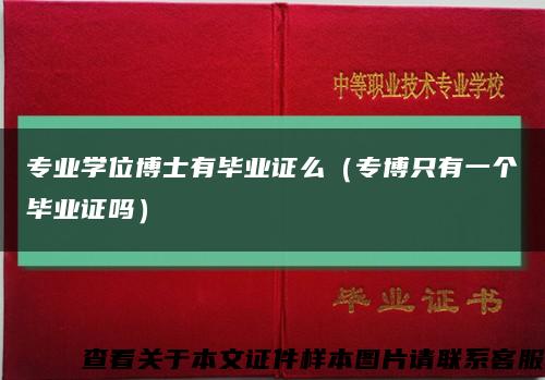 专业学位博士有毕业证么（专博只有一个毕业证吗）缩略图