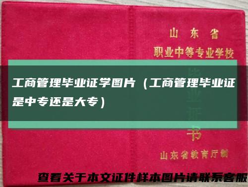 工商管理毕业证学图片（工商管理毕业证是中专还是大专）缩略图