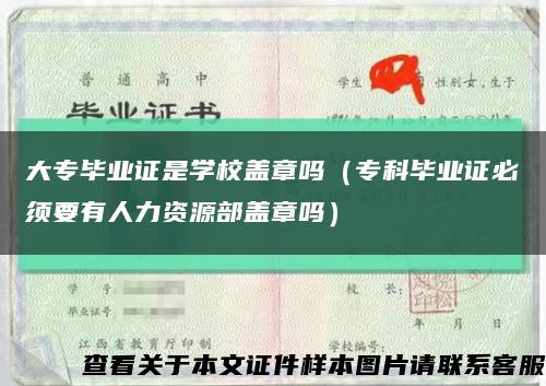 大专毕业证是学校盖章吗（专科毕业证必须要有人力资源部盖章吗）缩略图