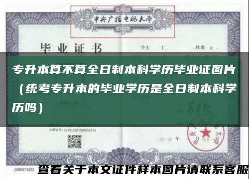 专升本算不算全日制本科学历毕业证图片（统考专升本的毕业学历是全日制本科学历吗）缩略图