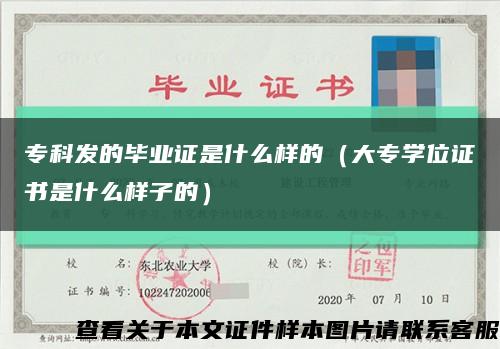 专科发的毕业证是什么样的（大专学位证书是什么样子的）缩略图