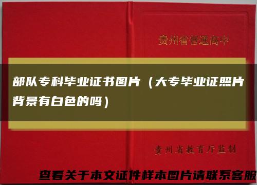 部队专科毕业证书图片（大专毕业证照片背景有白色的吗）缩略图