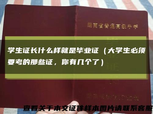 学生证长什么样就是毕业证（大学生必须要考的那些证，你有几个了）缩略图