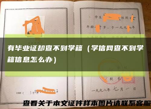 有毕业证却查不到学籍（学信网查不到学籍信息怎么办）缩略图