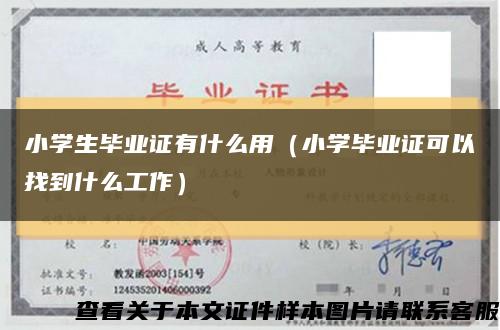 小学生毕业证有什么用（小学毕业证可以找到什么工作）缩略图