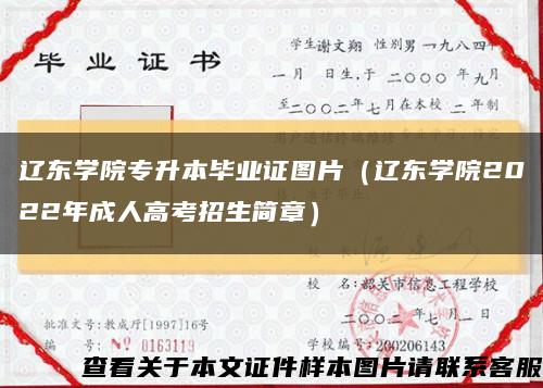 辽东学院专升本毕业证图片（辽东学院2022年成人高考招生简章）缩略图