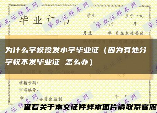 为什么学校没发小学毕业证（因为有处分 学校不发毕业证 怎么办）缩略图