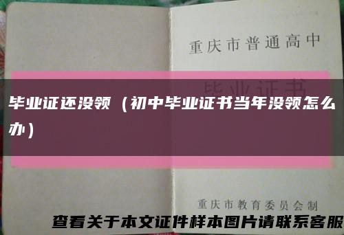 毕业证还没领（初中毕业证书当年没领怎么办）缩略图