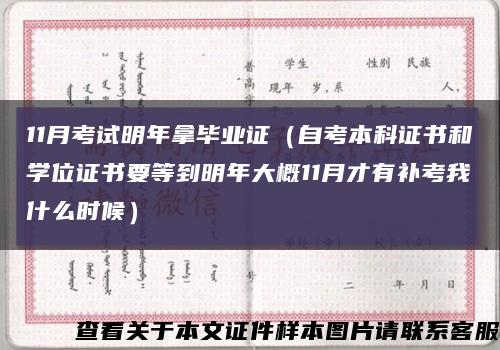 11月考试明年拿毕业证（自考本科证书和学位证书要等到明年大概11月才有补考我什么时候）缩略图