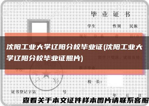 沈阳工业大学辽阳分校毕业证(沈阳工业大学辽阳分校毕业证照片)缩略图