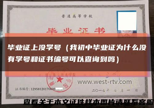 毕业证上没学号（我初中毕业证为什么没有学号和证书编号可以查询到吗）缩略图