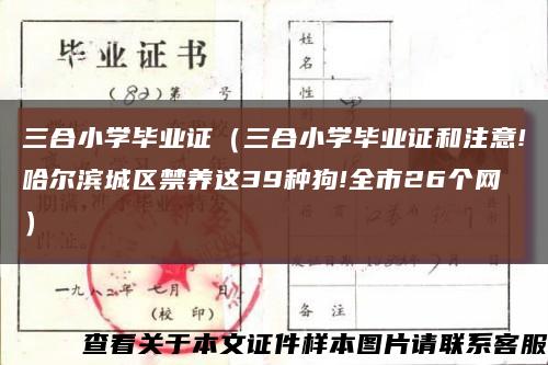 三合小学毕业证（三合小学毕业证和注意!哈尔滨城区禁养这39种狗!全市26个网）缩略图