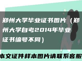 郑州大学毕业证书图片（郑州大学自考2014年毕业证书编号不同）缩略图