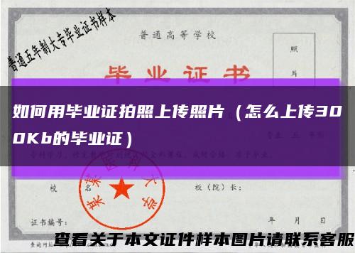 如何用毕业证拍照上传照片（怎么上传300Kb的毕业证）缩略图