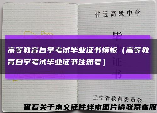 高等教育自学考试毕业证书模板（高等教育自学考试毕业证书注册号）缩略图