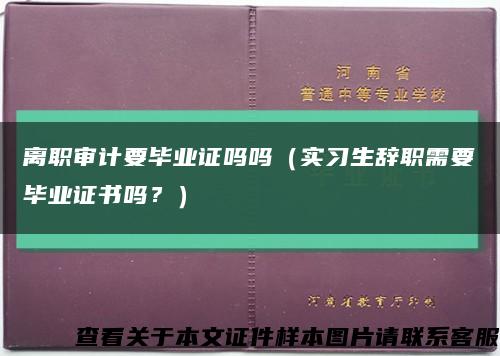 离职审计要毕业证吗吗（实习生辞职需要毕业证书吗？）缩略图