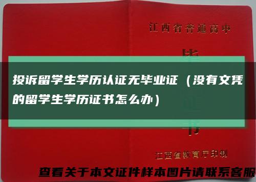 投诉留学生学历认证无毕业证（没有文凭的留学生学历证书怎么办）缩略图