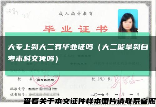 大专上到大二有毕业证吗（大二能拿到自考本科文凭吗）缩略图