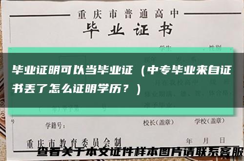 毕业证明可以当毕业证（中专毕业来自证书丢了怎么证明学历？）缩略图