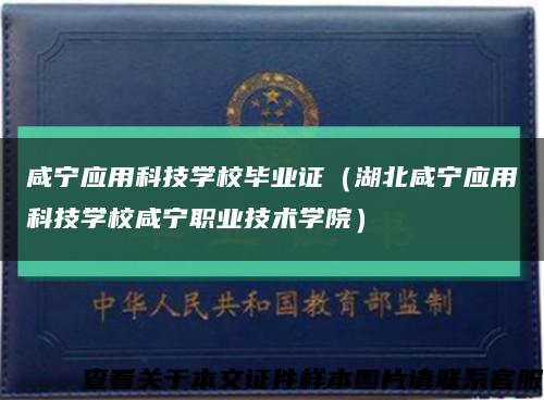 咸宁应用科技学校毕业证（湖北咸宁应用科技学校咸宁职业技术学院）缩略图