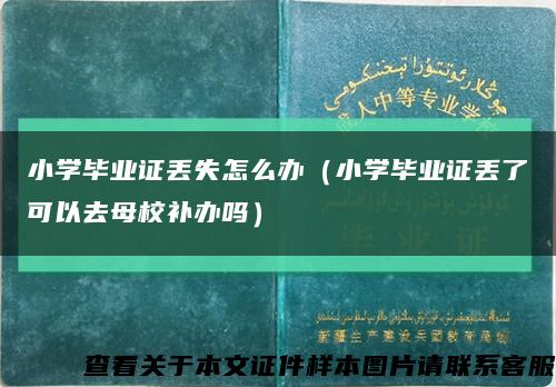 小学毕业证丢失怎么办（小学毕业证丢了可以去母校补办吗）缩略图