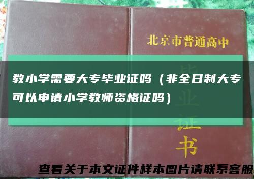 教小学需要大专毕业证吗（非全日制大专可以申请小学教师资格证吗）缩略图