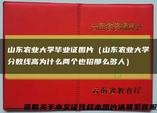 山东农业大学毕业证图片（山东农业大学分数线高为什么两个也招那么多人）缩略图