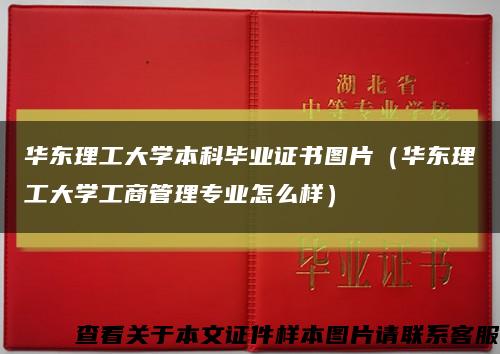 华东理工大学本科毕业证书图片（华东理工大学工商管理专业怎么样）缩略图