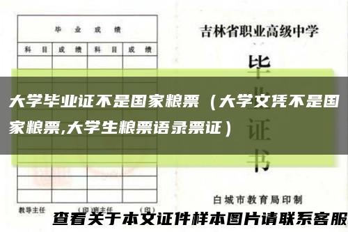 大学毕业证不是国家粮票（大学文凭不是国家粮票,大学生粮票语录票证）缩略图