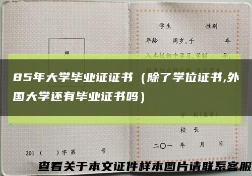 85年大学毕业证证书（除了学位证书,外国大学还有毕业证书吗）缩略图