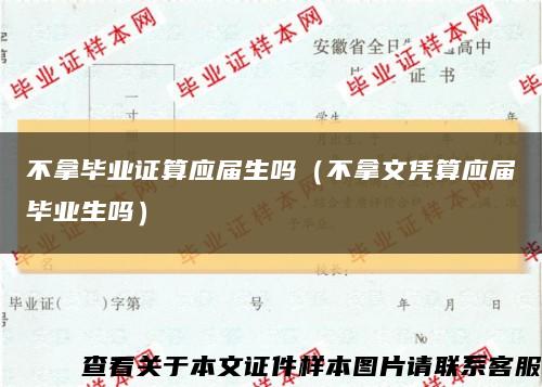 不拿毕业证算应届生吗（不拿文凭算应届毕业生吗）缩略图