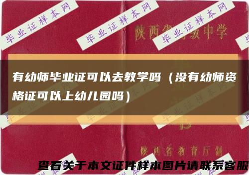 有幼师毕业证可以去教学吗（没有幼师资格证可以上幼儿园吗）缩略图