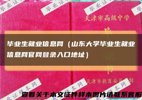 毕业生就业信息网（山东大学毕业生就业信息网官网登录入口地址）缩略图