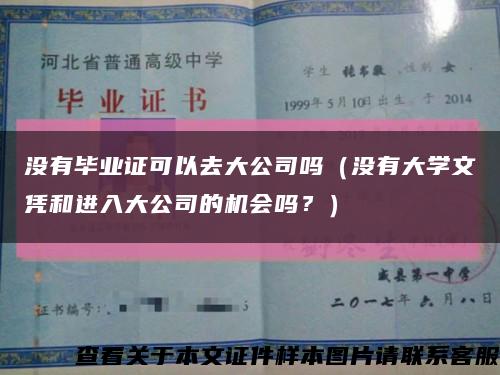 没有毕业证可以去大公司吗（没有大学文凭和进入大公司的机会吗？）缩略图