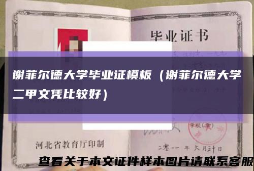 谢菲尔德大学毕业证模板（谢菲尔德大学二甲文凭比较好）缩略图