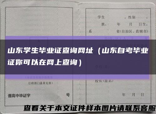 山东学生毕业证查询网址（山东自考毕业证你可以在网上查询）缩略图