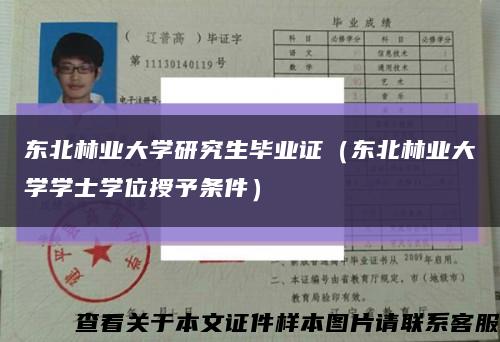 东北林业大学研究生毕业证（东北林业大学学士学位授予条件）缩略图