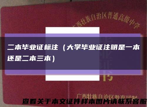 二本毕业证标注（大学毕业证注明是一本还是二本三本）缩略图