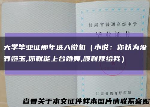 大学毕业证那年进入微机（小说：你以为没有婉玉,你就能上台跳舞,顺利嫁给我）缩略图