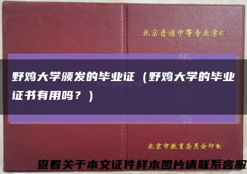 野鸡大学颁发的毕业证（野鸡大学的毕业证书有用吗？）缩略图